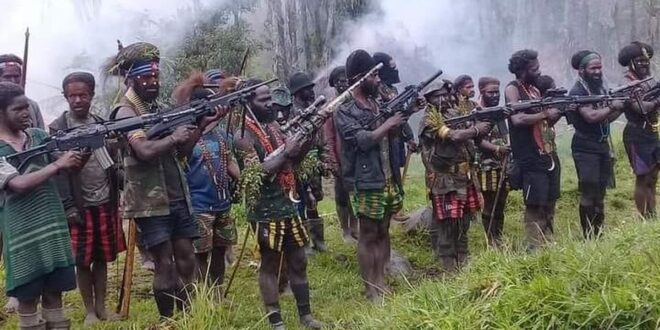 kelompok-kriminal-bersenjata-papua